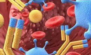 抗主要過敏原抗體、抗人免疫球蛋白抗體、流式抗體、抗過敏主要相關(guān)致病分子抗體